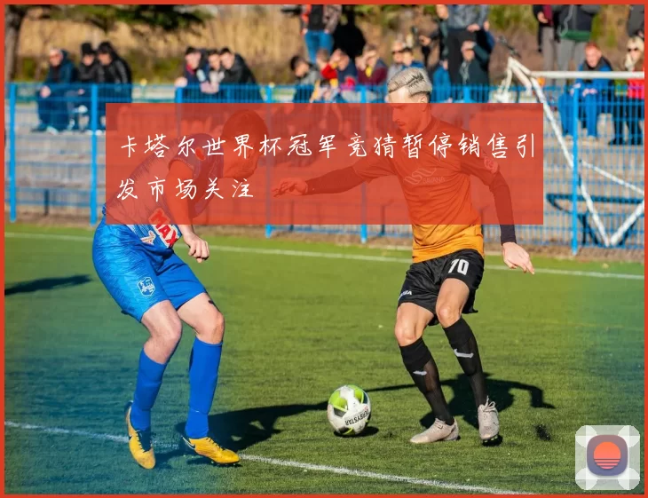 卡塔尔世界杯冠军竞猜暂停销售引发市场关注