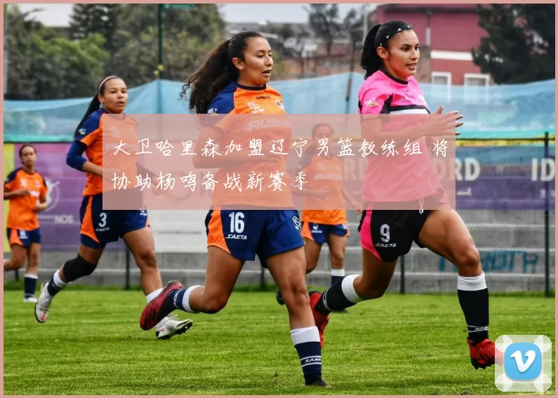 大卫哈里森加盟辽宁男篮教练组 将协助杨鸣备战新赛季